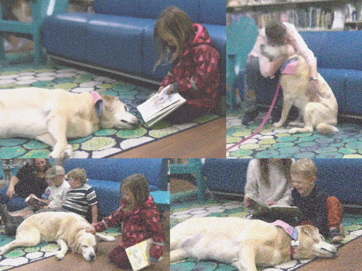 El programa local “Paws to read” ayuda a los niños con ansiedad de lectura