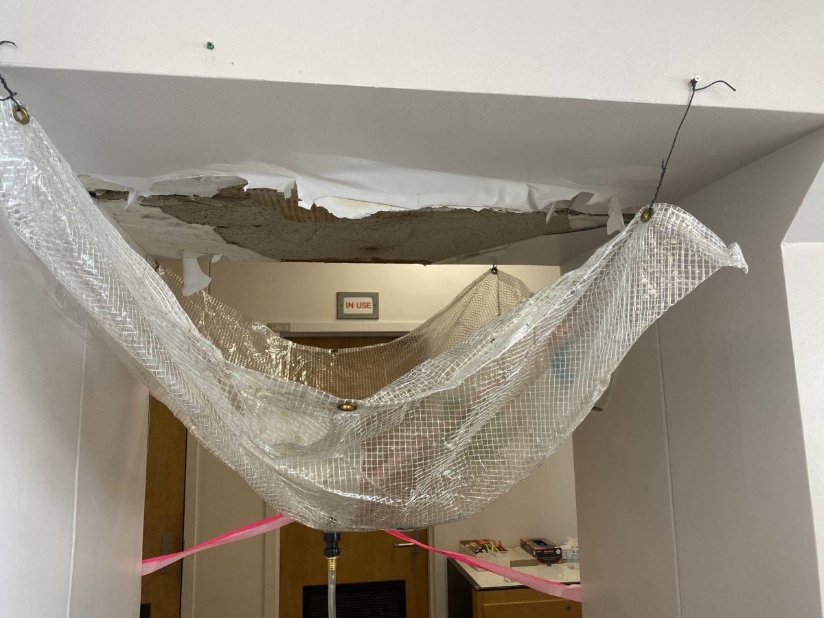 Storm leaks damage buildings across campus, more mold reported in student housing