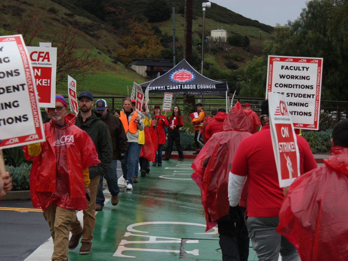 A look back at the one day CFA strike