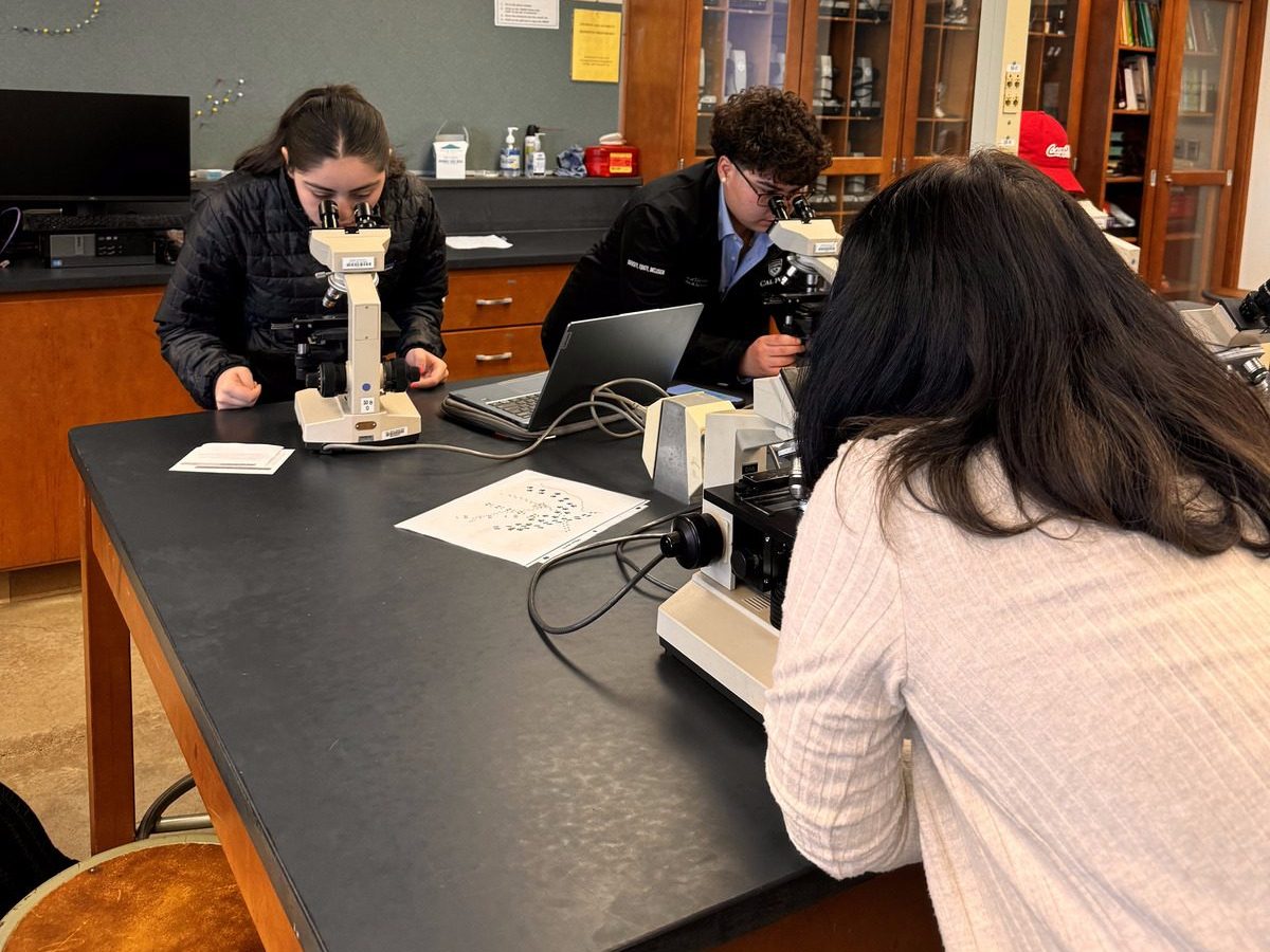 Two Cal Poly professors saw a disconnect between science and Spanish: Here’s how they’re bridging that gap