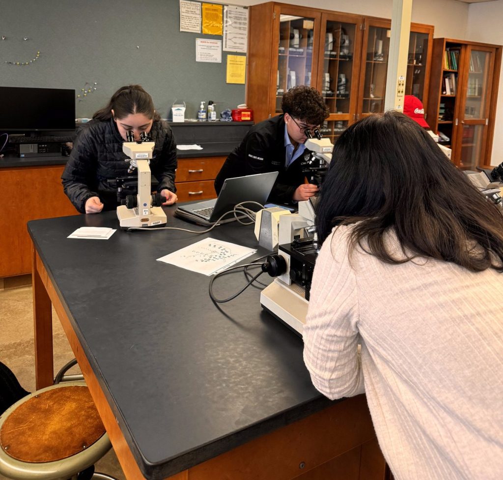 Two Cal Poly professors saw a disconnect between science and Spanish: Here’s how they’re bridging that gap